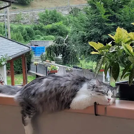 Casa Vignolet : La Finestra Su Apartmán *